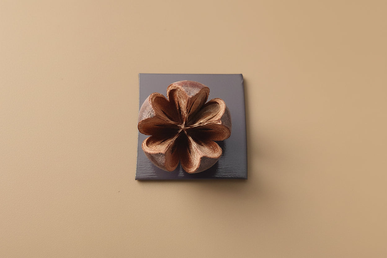 Realistic 3D Mushroom & Forest Specimen Fridge Magnets