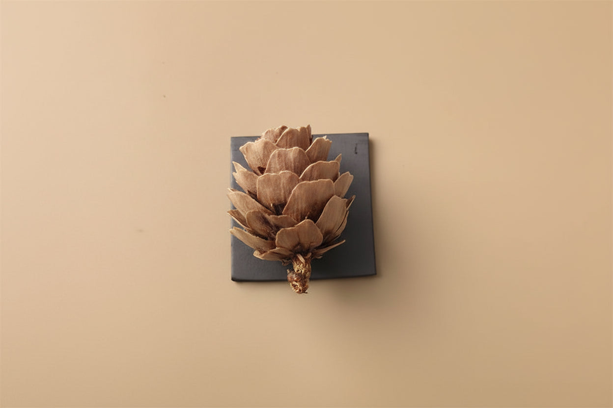 Realistic 3D Mushroom & Forest Specimen Fridge Magnets