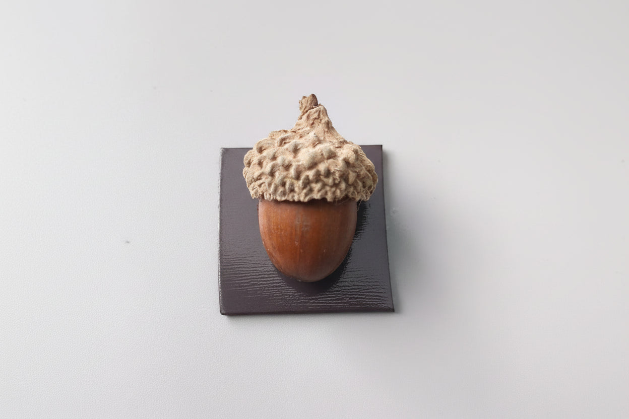 Realistic 3D Mushroom & Forest Specimen Fridge Magnets